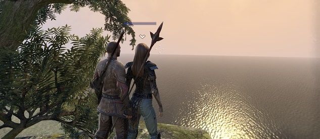 The View 3