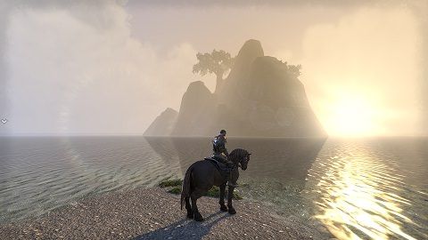 The View
