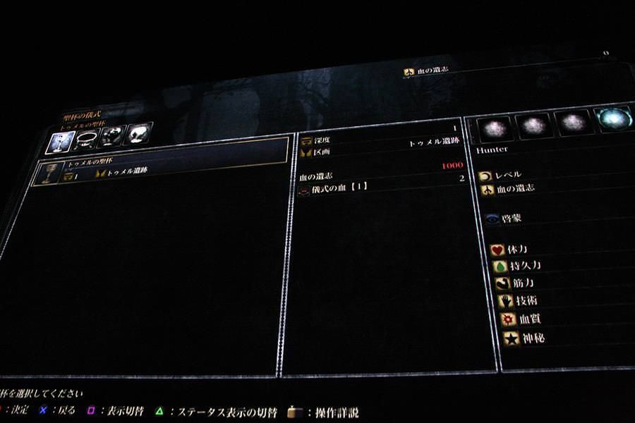 bloodborne-chalice-data