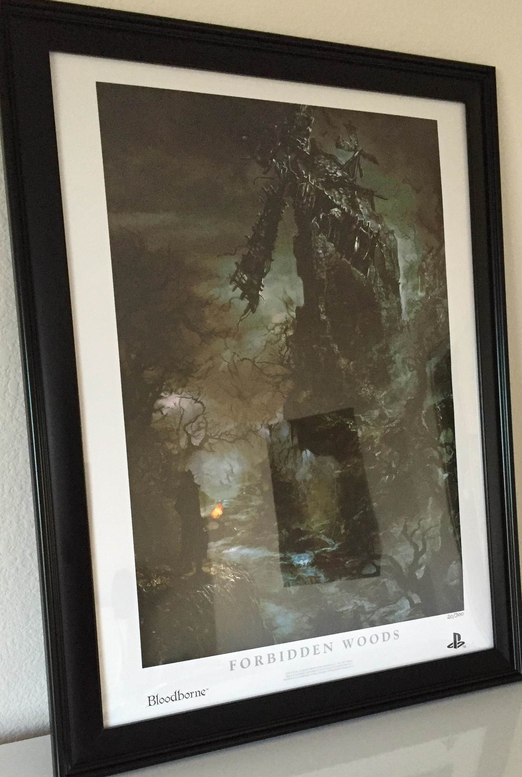 Framed Litho 1