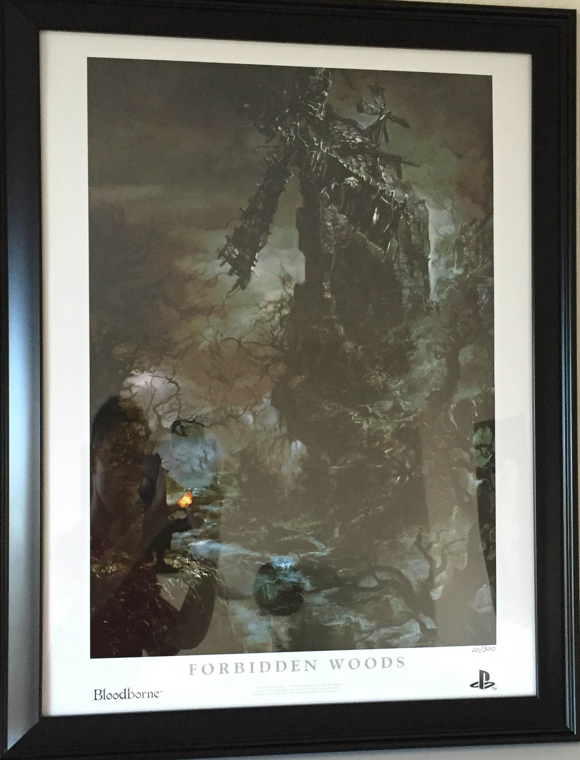 Framed Litho 2