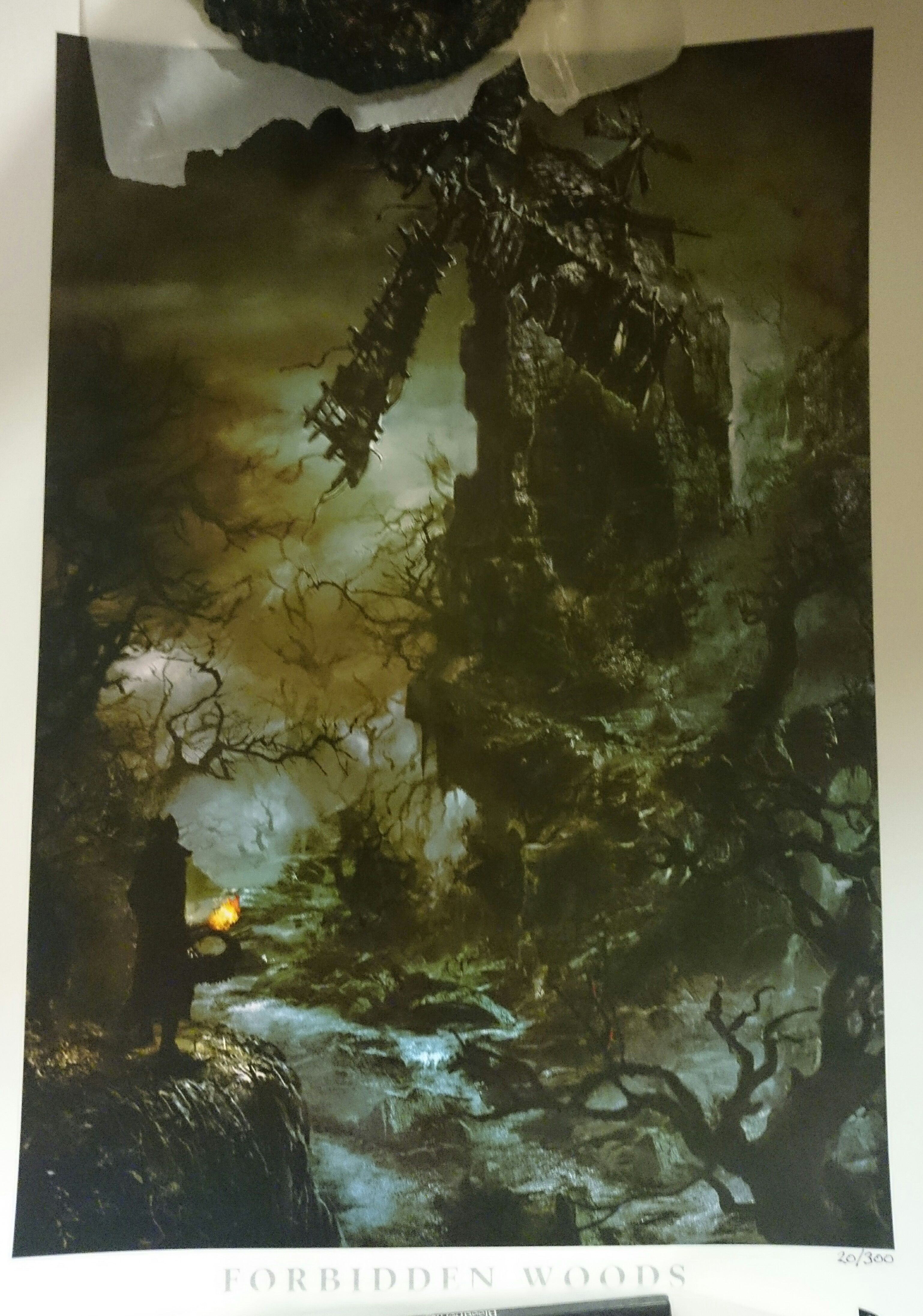 litho full