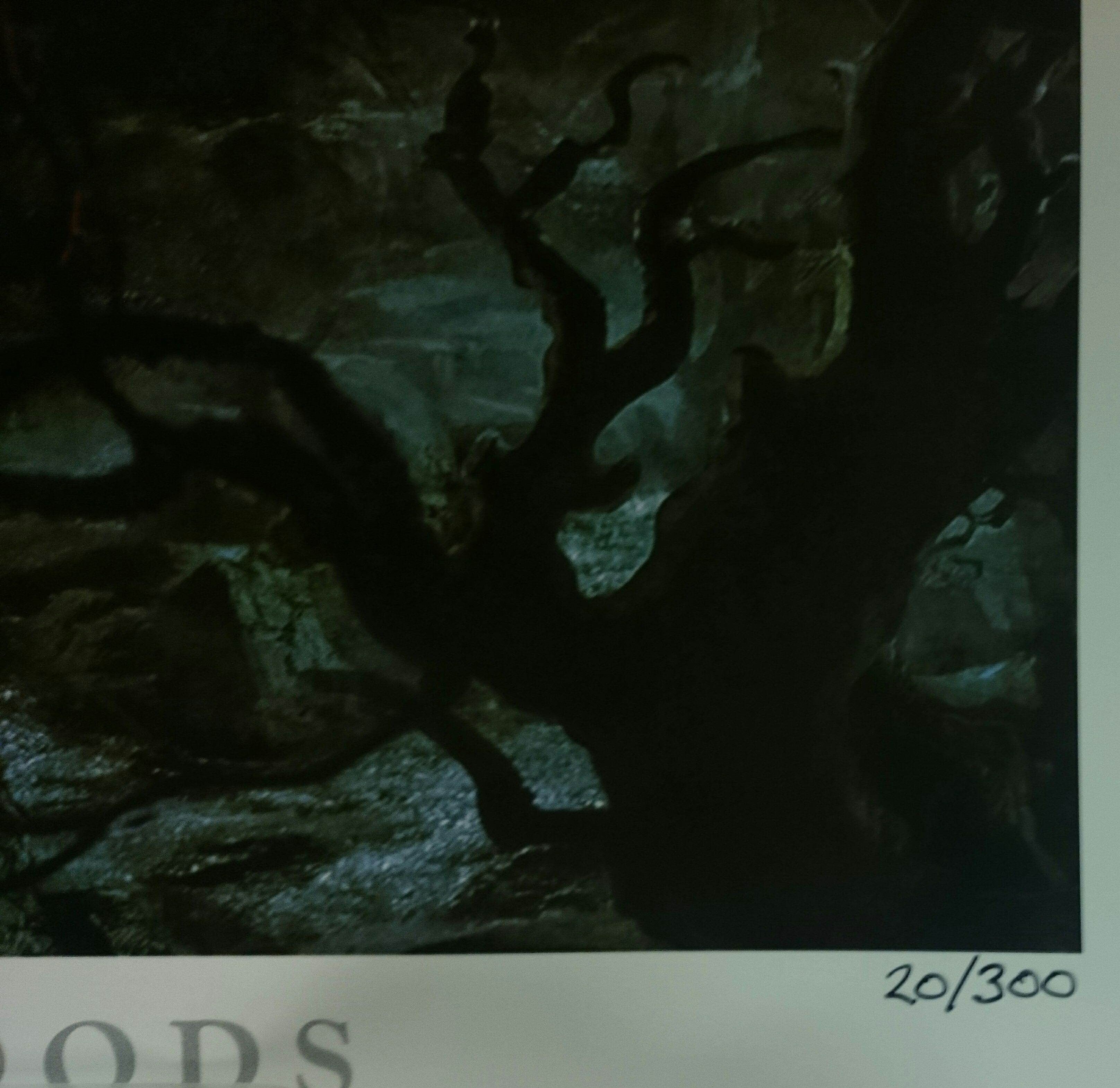 litho limited number