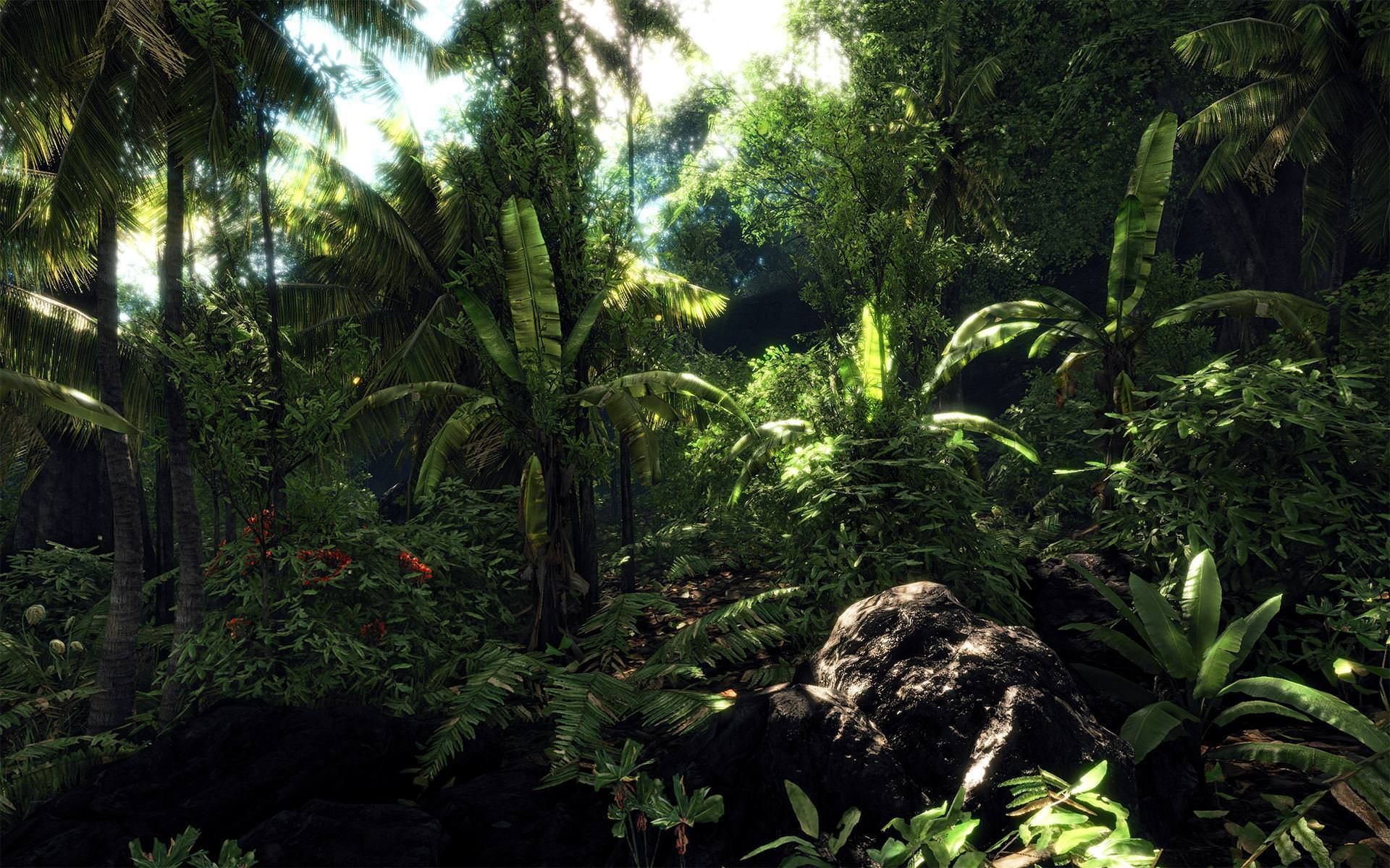 Graphics