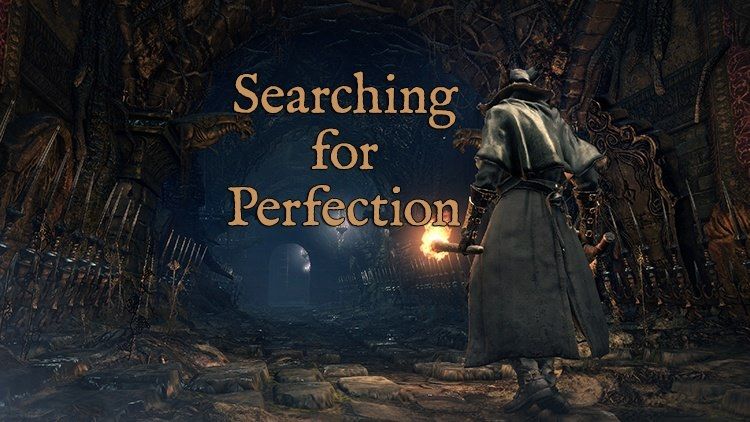 Searching for Perfection