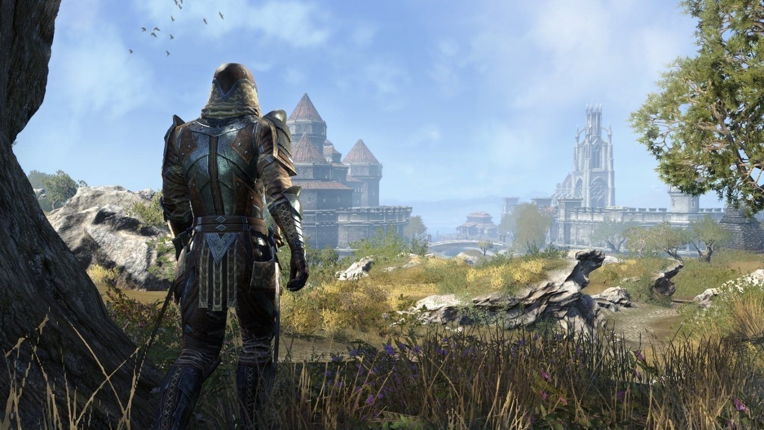 Elder Scrolls Online: Dark Brotherhood Changes