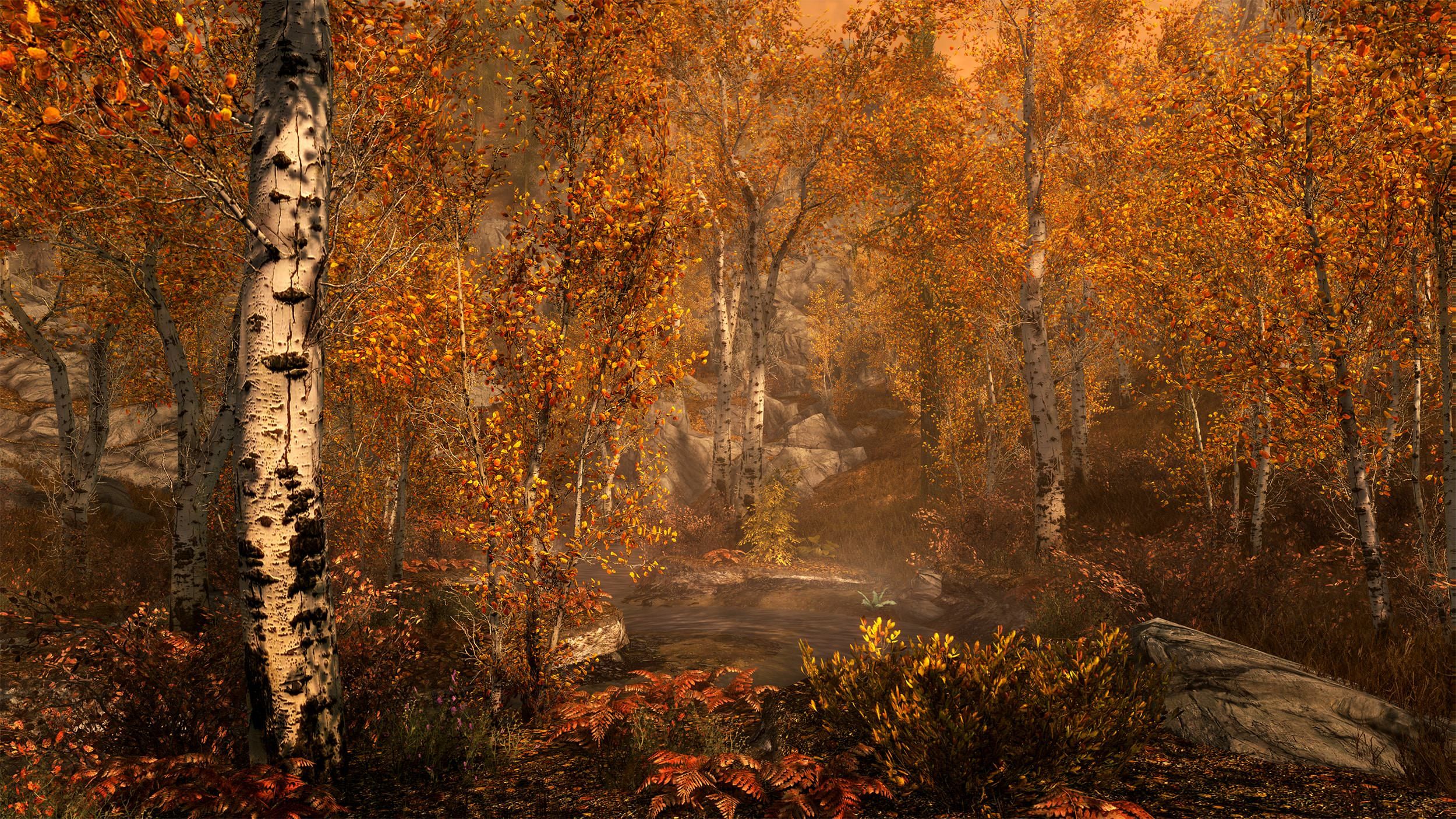 skyrimse_fallforest_full-min