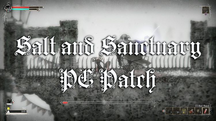 salt and sanct pc patch