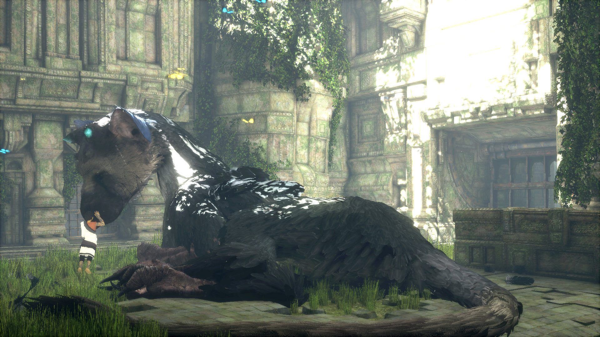 last-guardian-laying-down