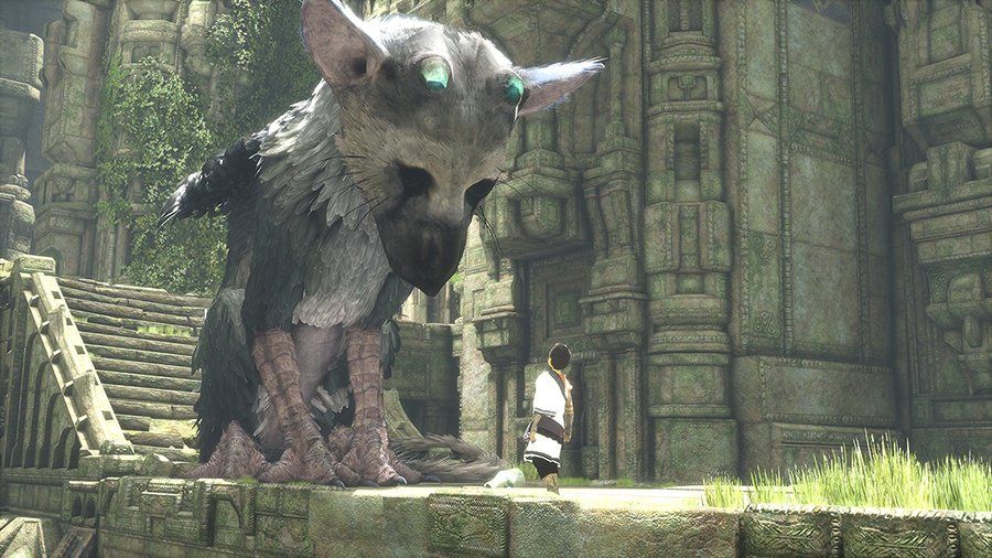 last-guardian-look