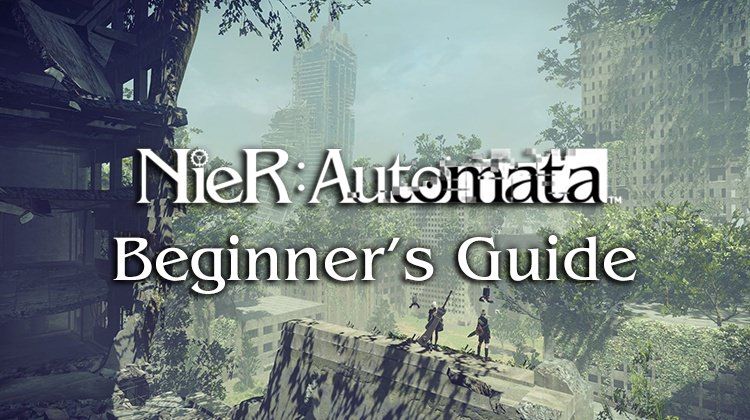nier beginners