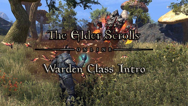 eso warden intro