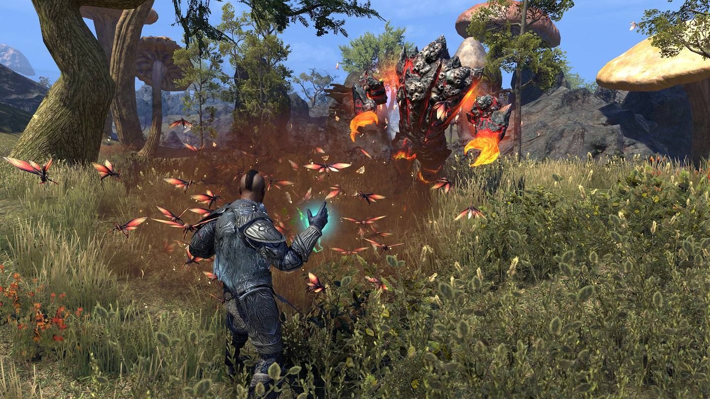 eso-warden