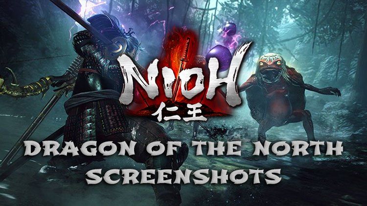 nioh dragon screens