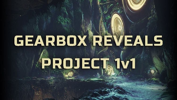 project 1v1