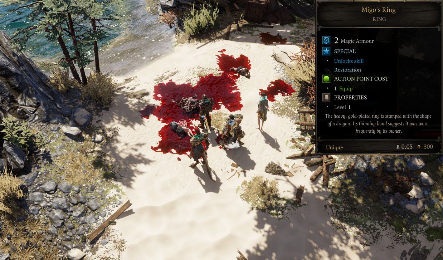 Divinity: Original Sin 2: Getting Started Guide