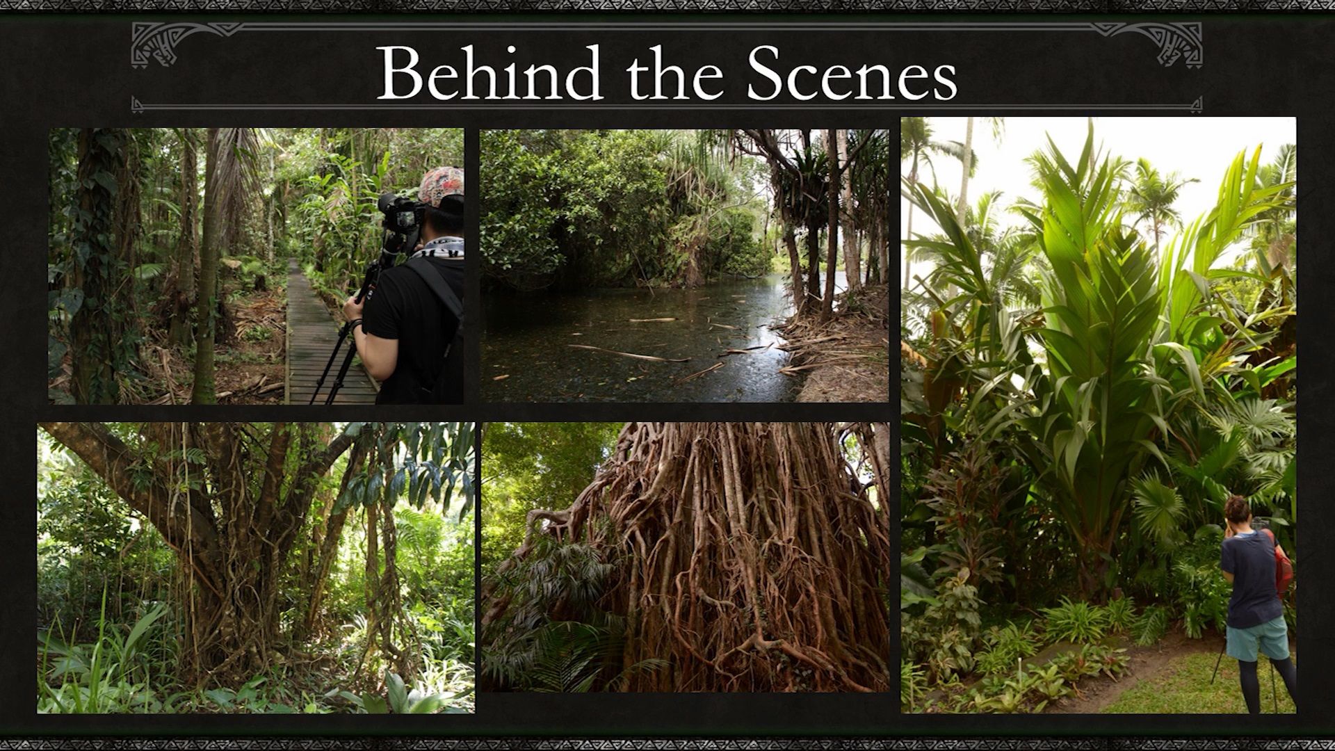 monster-hunter-world-bts-forest