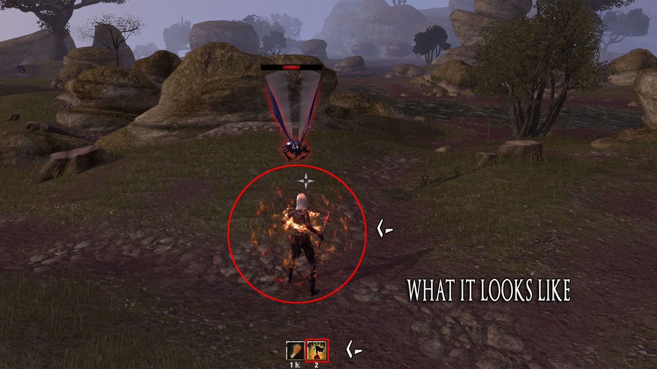 embershield_in_action-eso