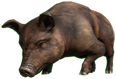 eso-bristlegut-pig