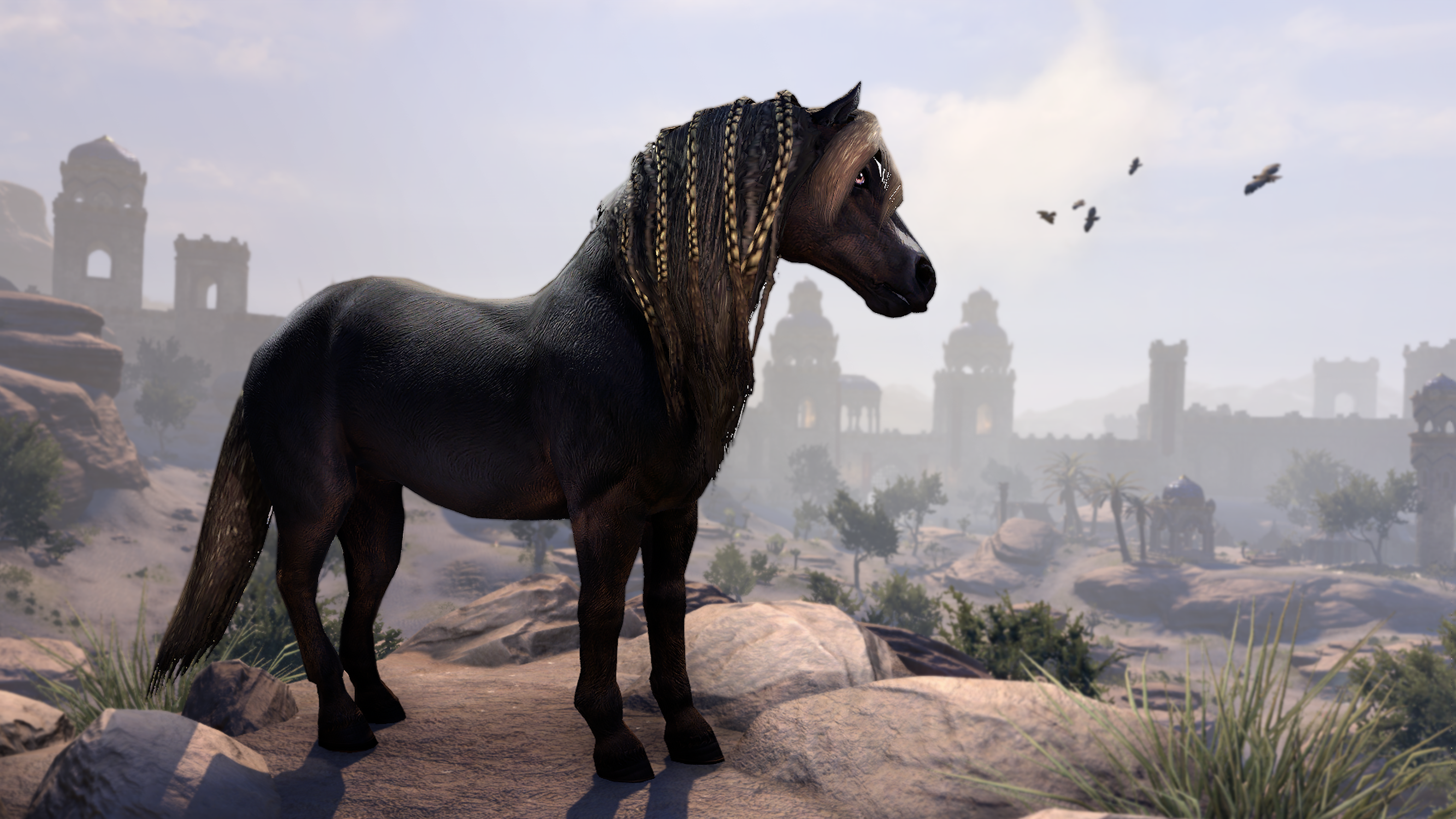 eso-pet-dire-pony