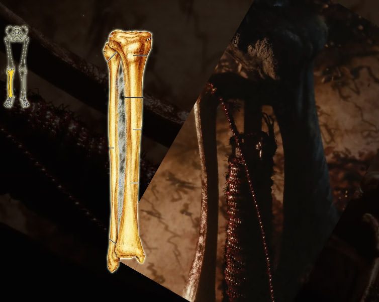 bloodborne-2-leg-bone