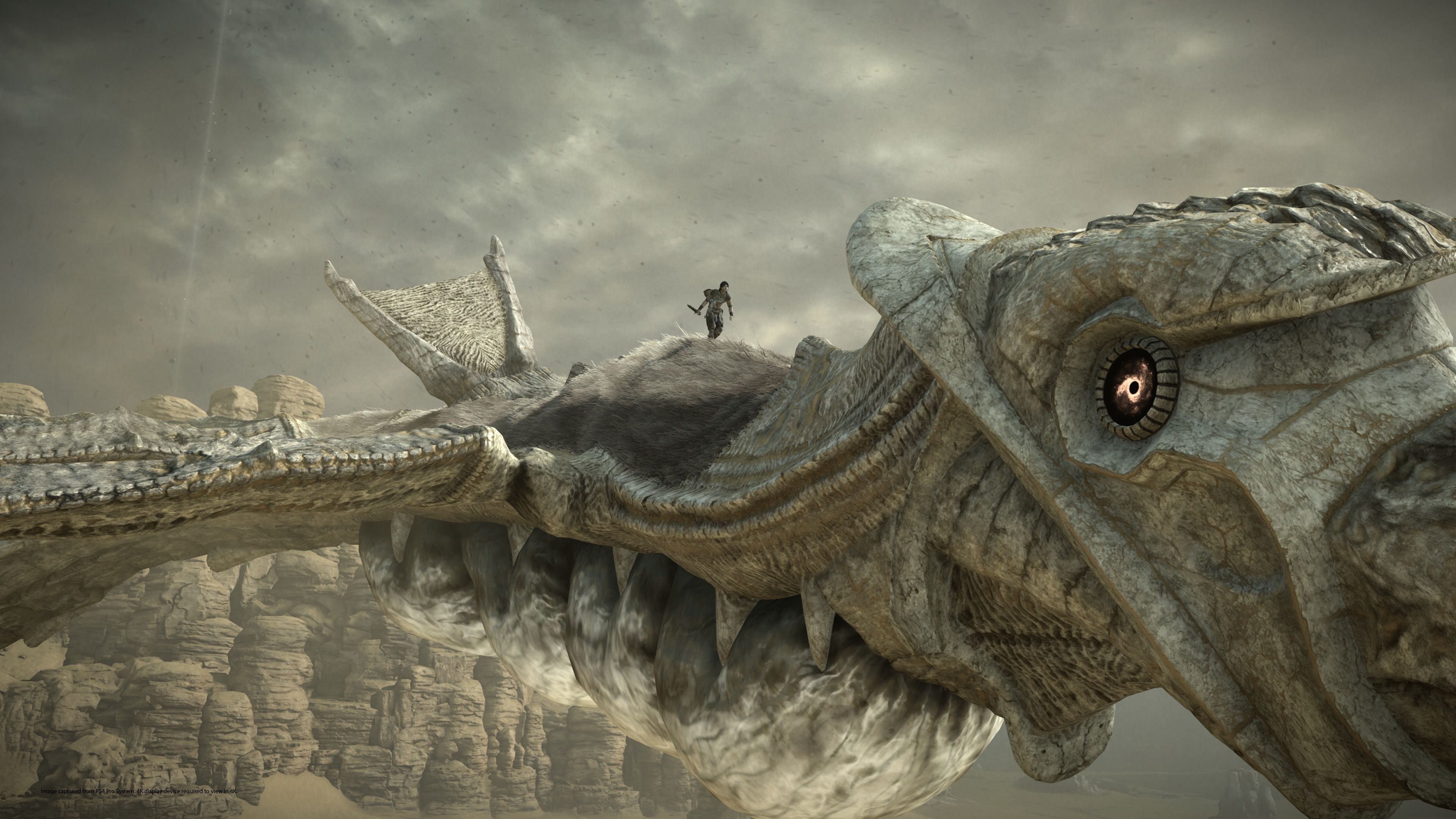 shadow-of-the-colossus-sony-playstation-4-remake-ps4-pro-4k-screenshots-action-adventure