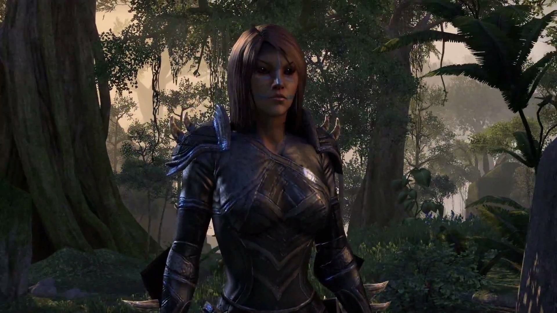 elder scrolls wood elf