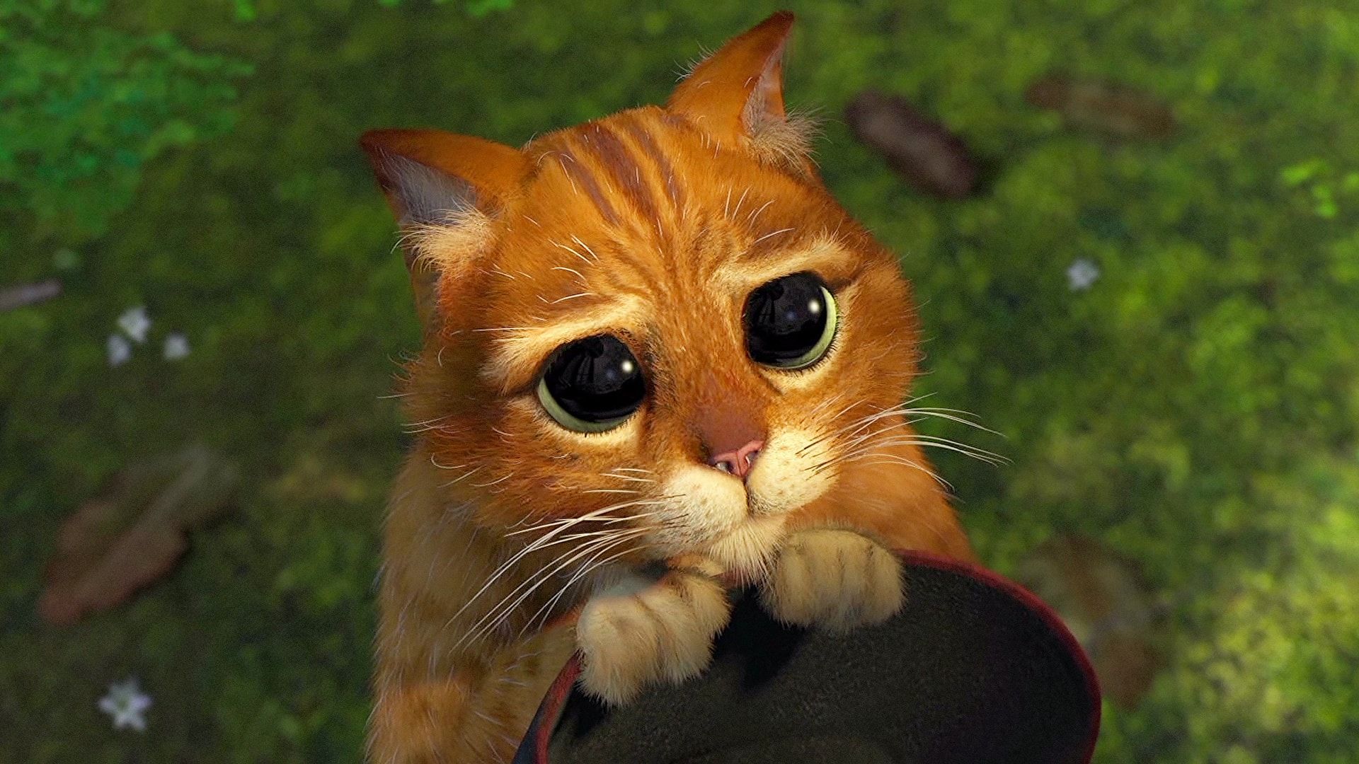 shrek_cat_eyes_morality min