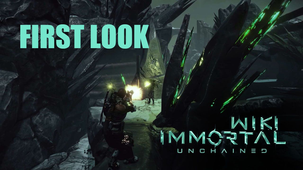 first_look