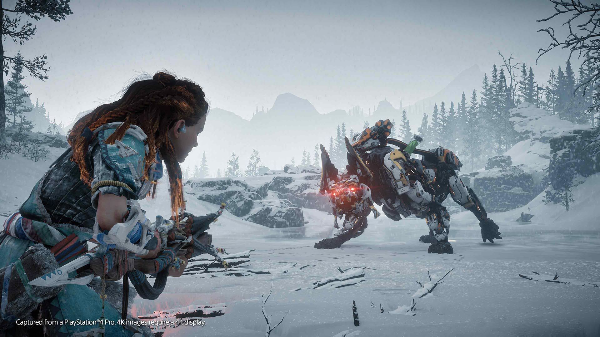 horizon zero dawn two-player co-op
