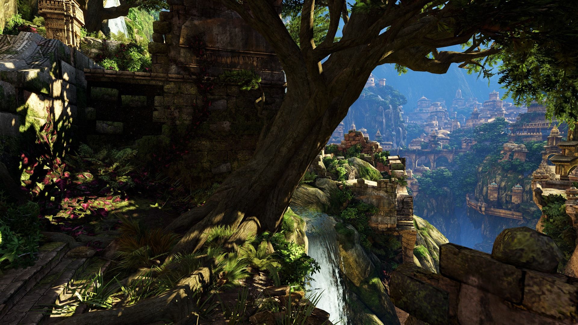 shambhala_cover min