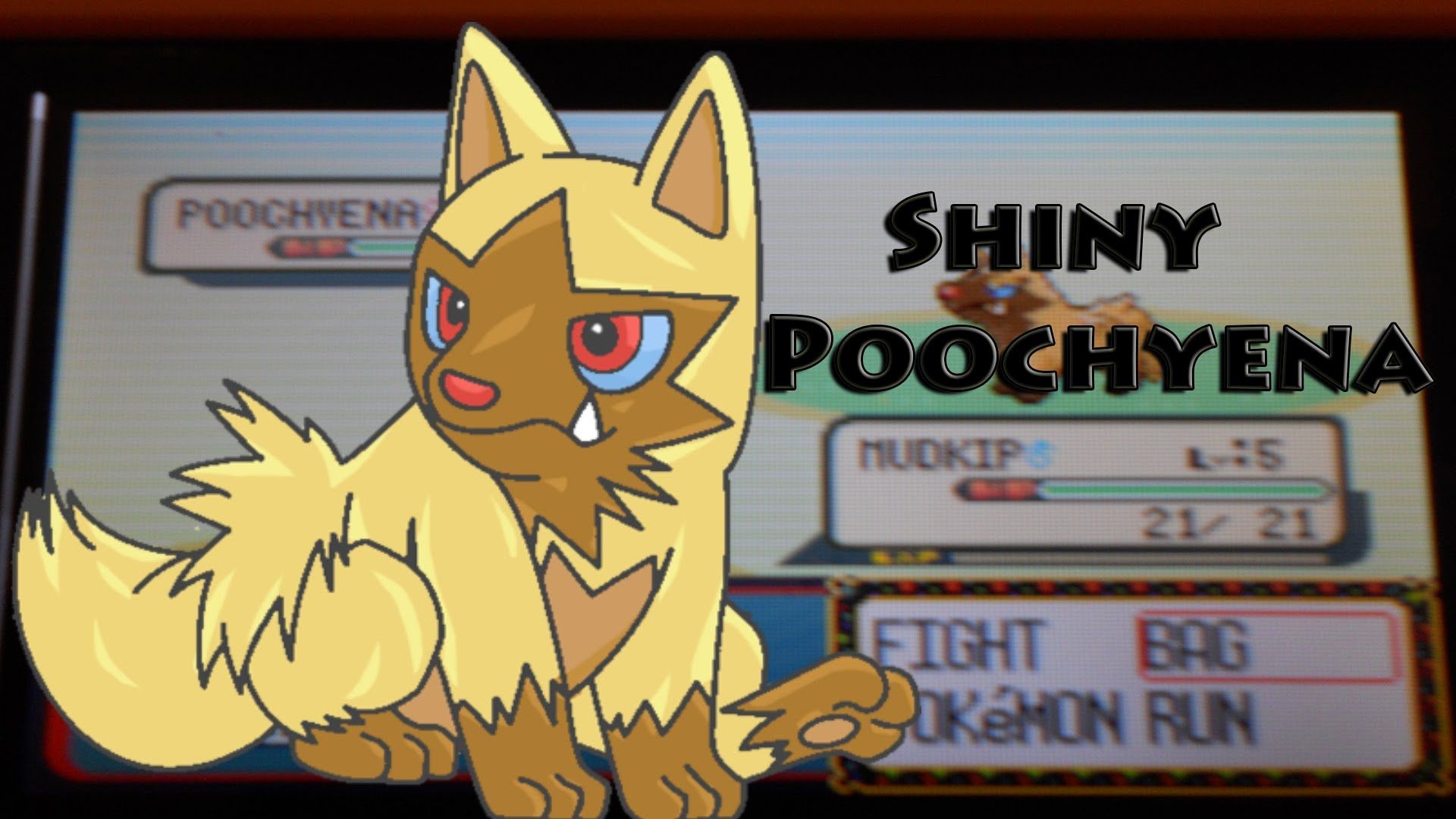 pokemon go poochyena year of the dog