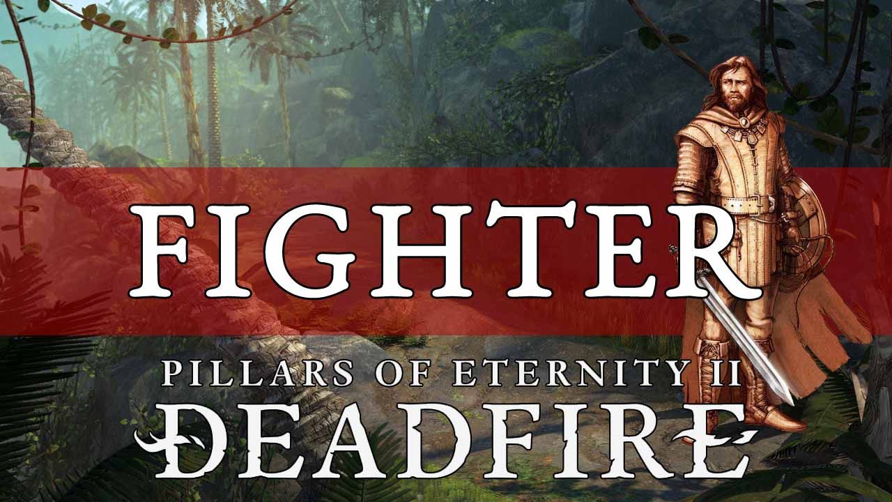 fighter_cover