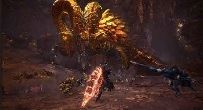 MHW: Appreciation Event &amp; Its Contents