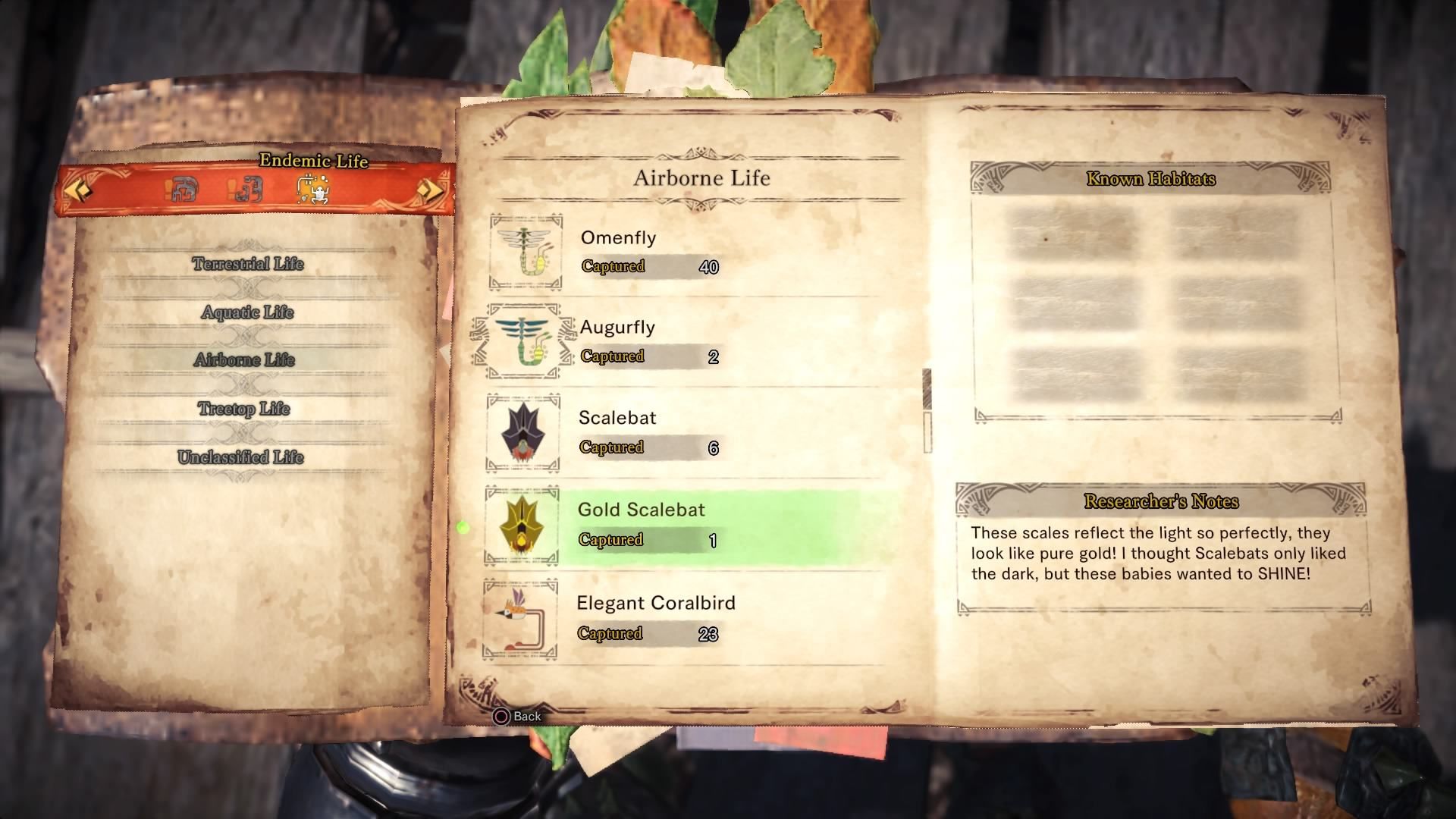 new life2_mhw_kulve