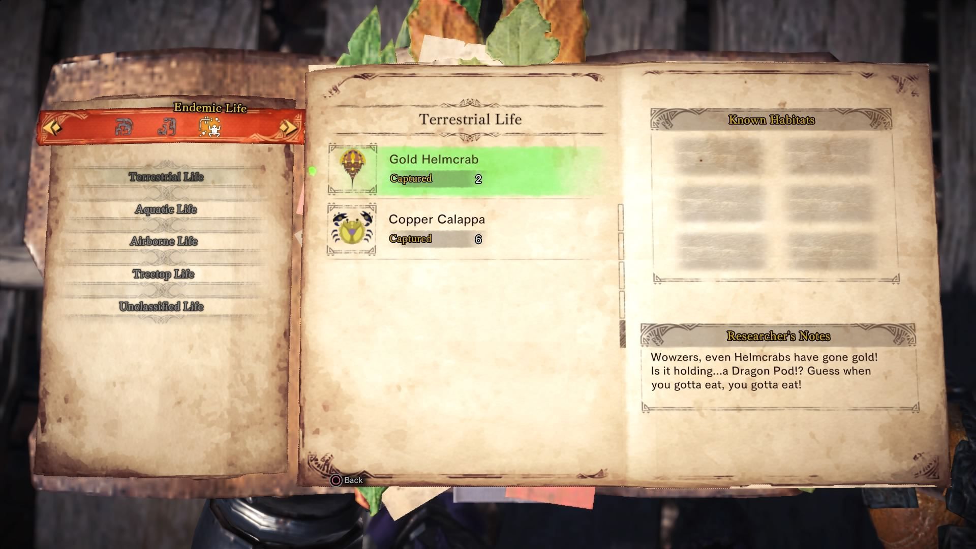 new life_mhw_kulve