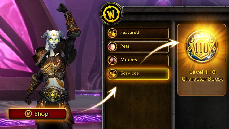 World of Warcraft Character Boost VS Leveling