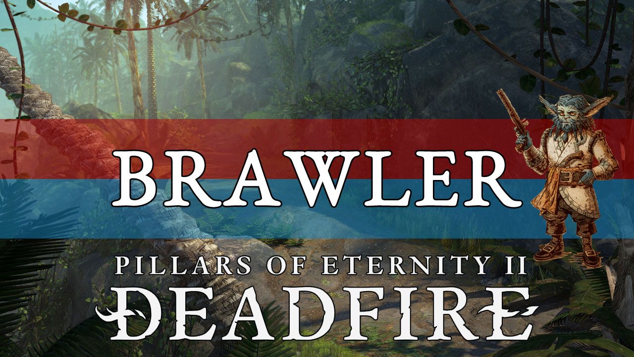 brawler