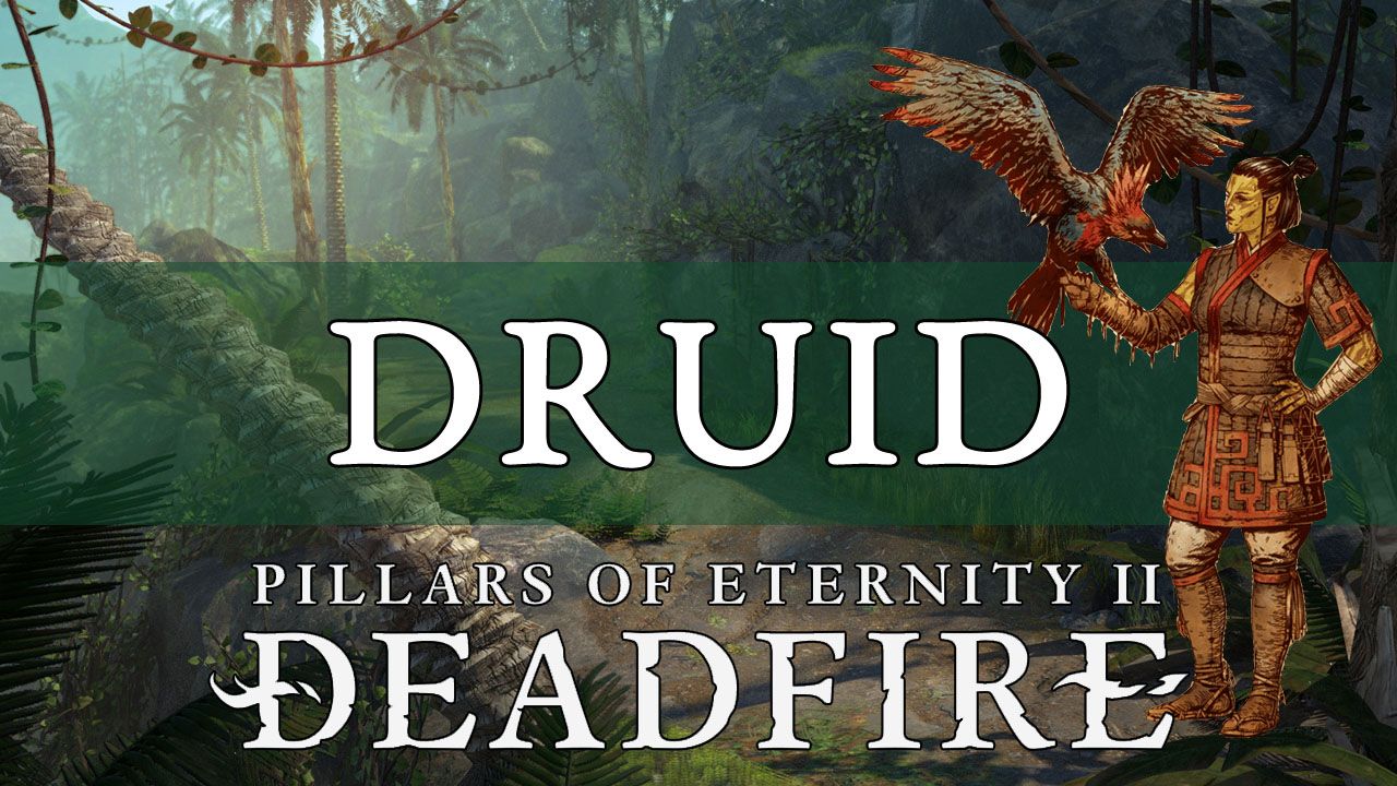 druid_cover