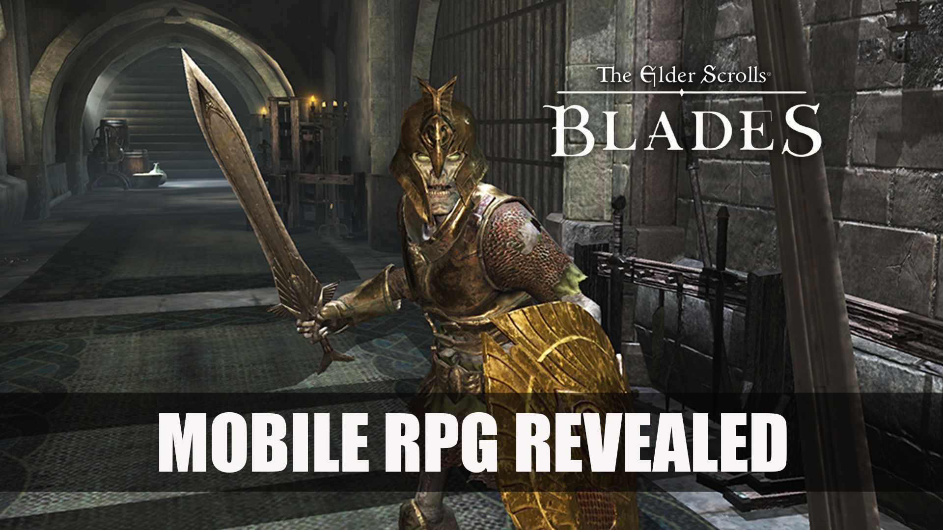 Elder Scrolls Blades Mobile RPG