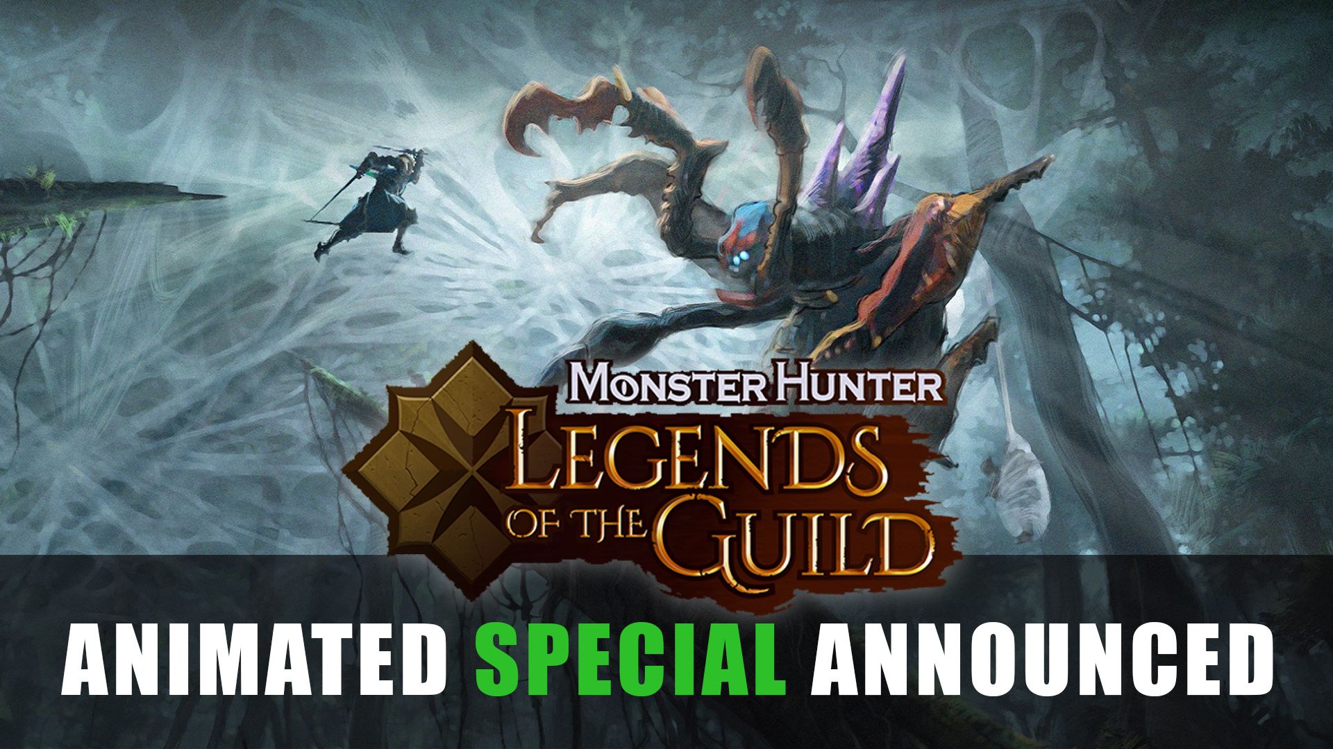 Monster Hunter 3D Animated Special