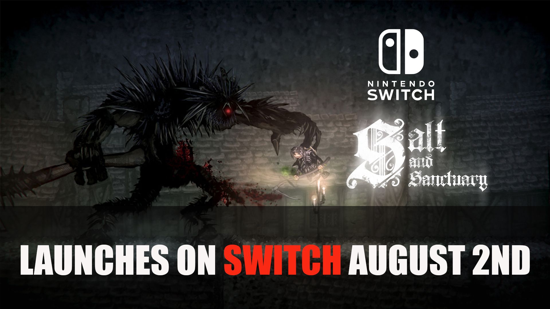 Salt and Sanctuary Nintendo Switch