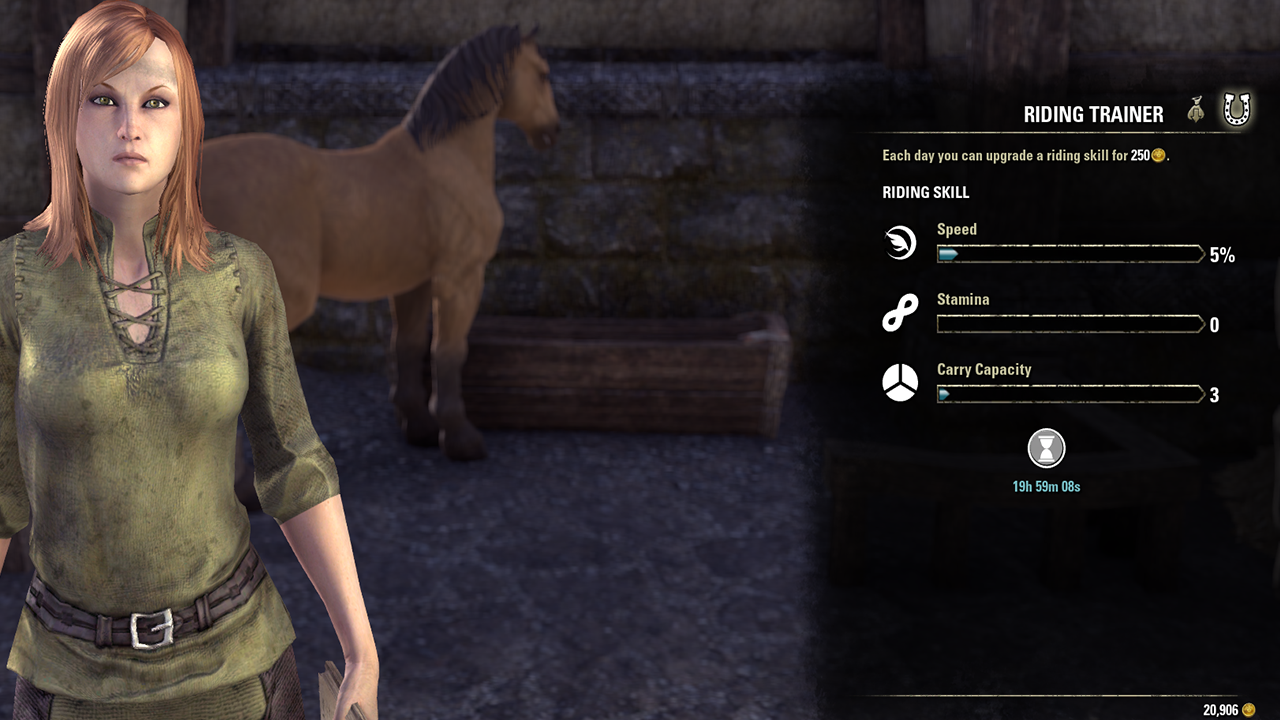 Elder Scrolls Online   Beginner&rsquo;s Guide to Leveling