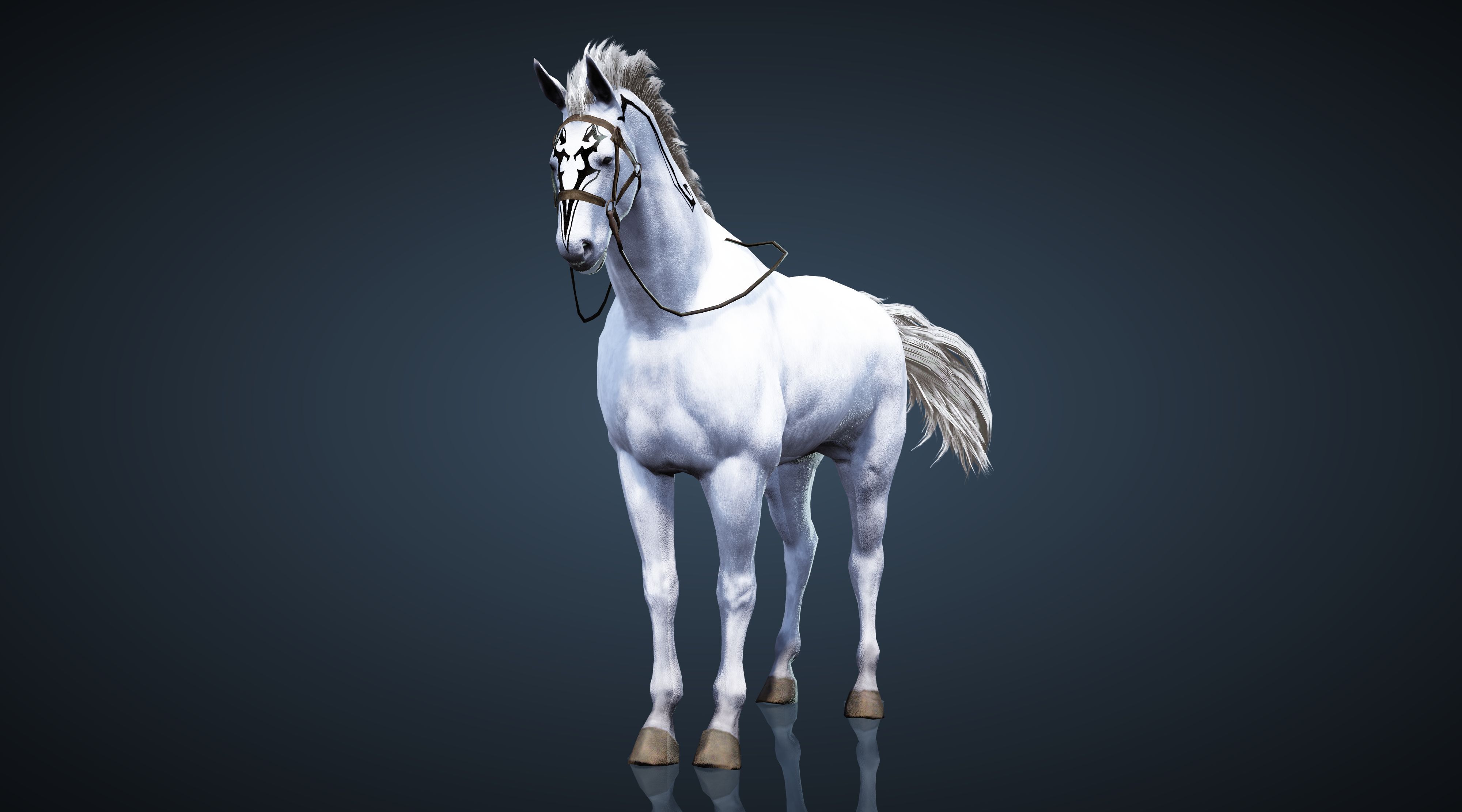 BlackDesertRemastered 38