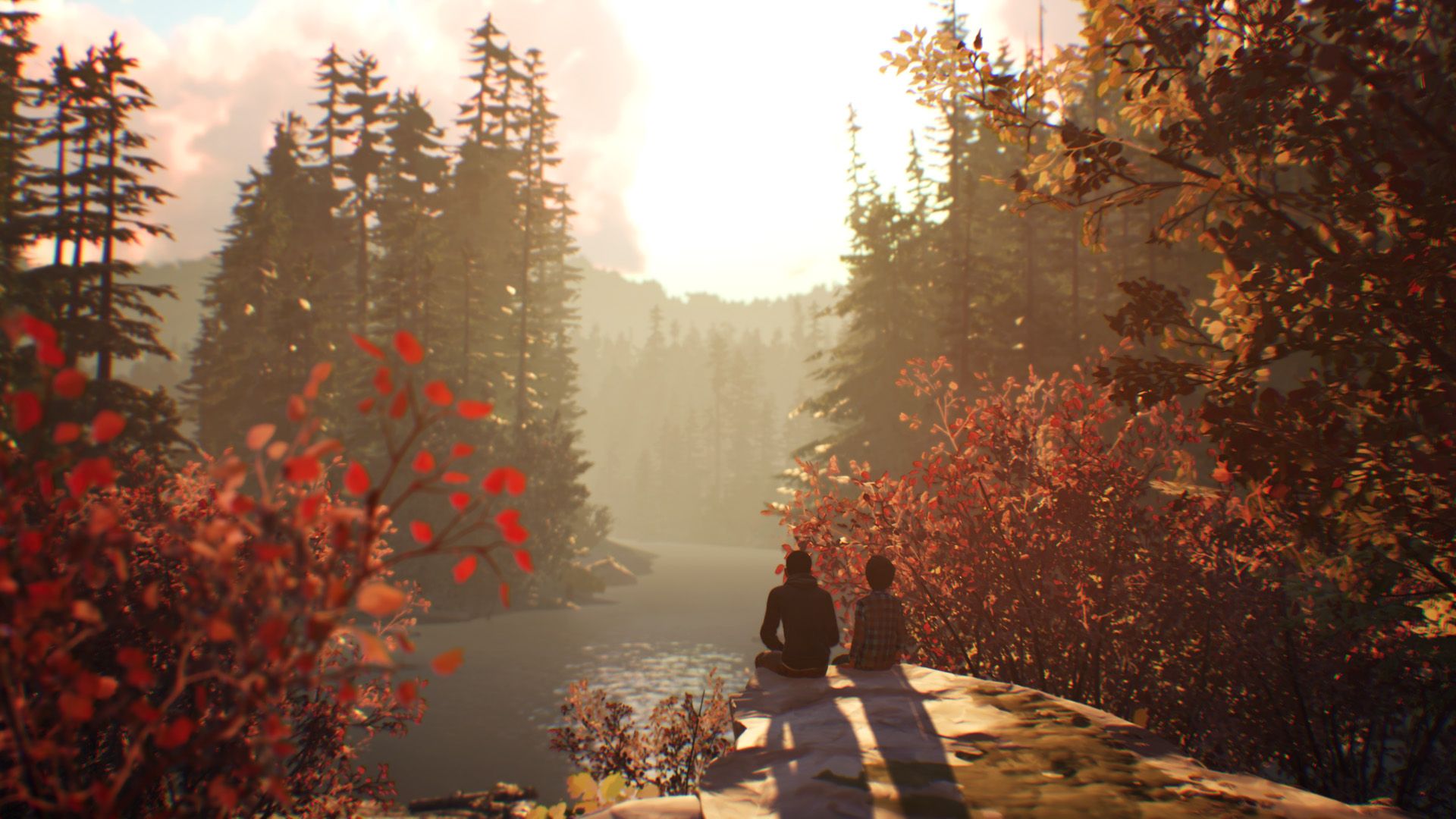 LIS2_SC5_Vista_river_1534498717