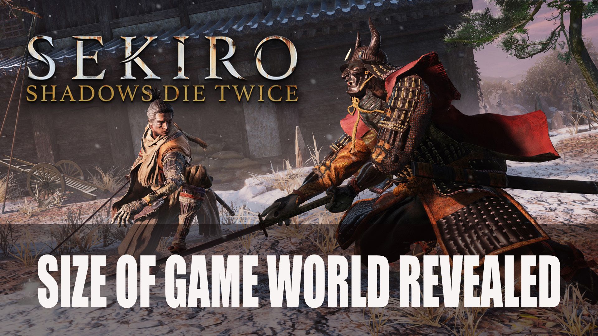Sekiro Shadows Die Twice Game Size