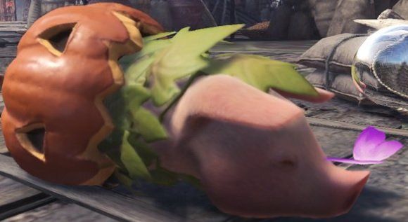 poogie_harvestfest