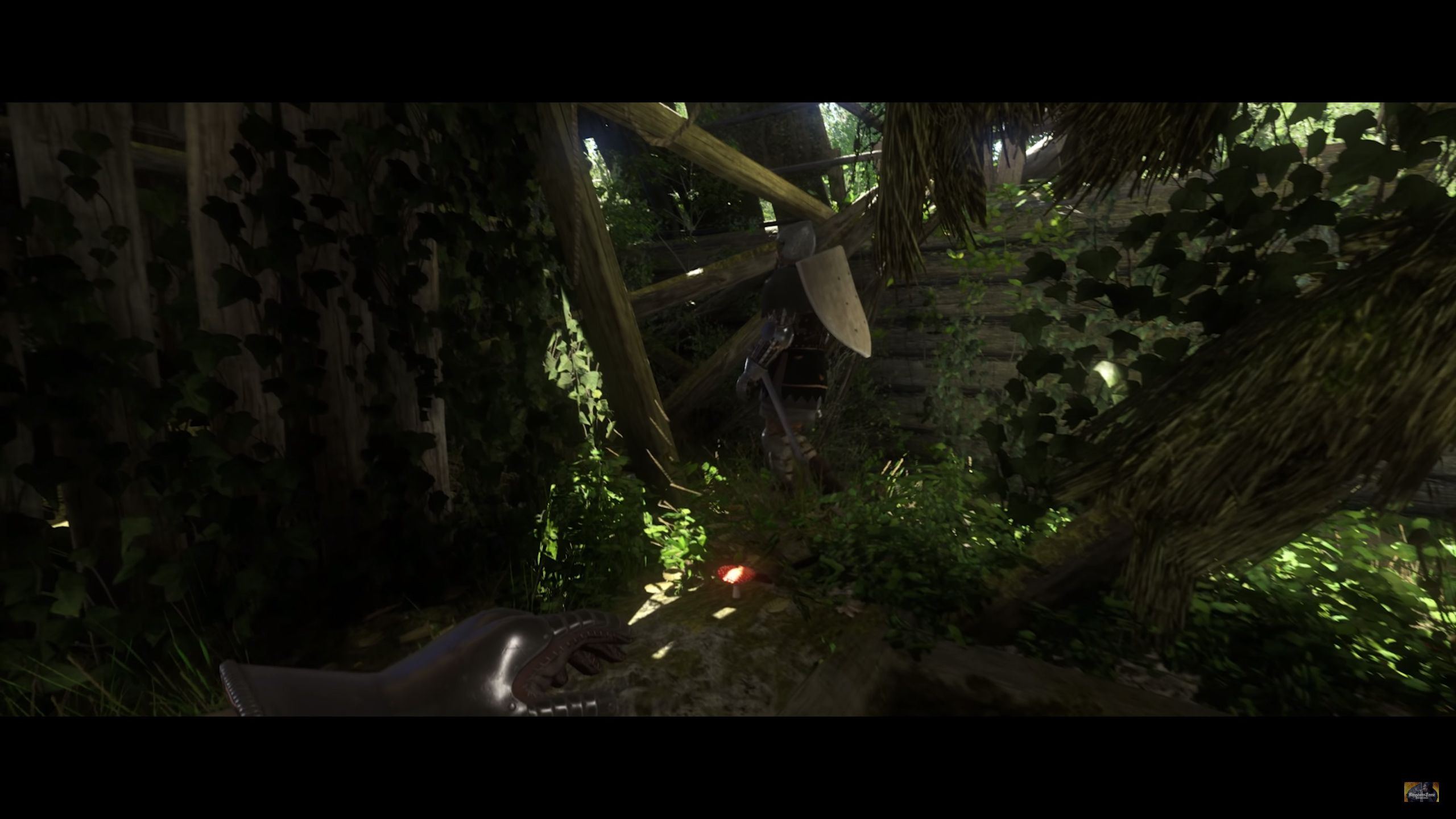 KCD Hans Capon 03