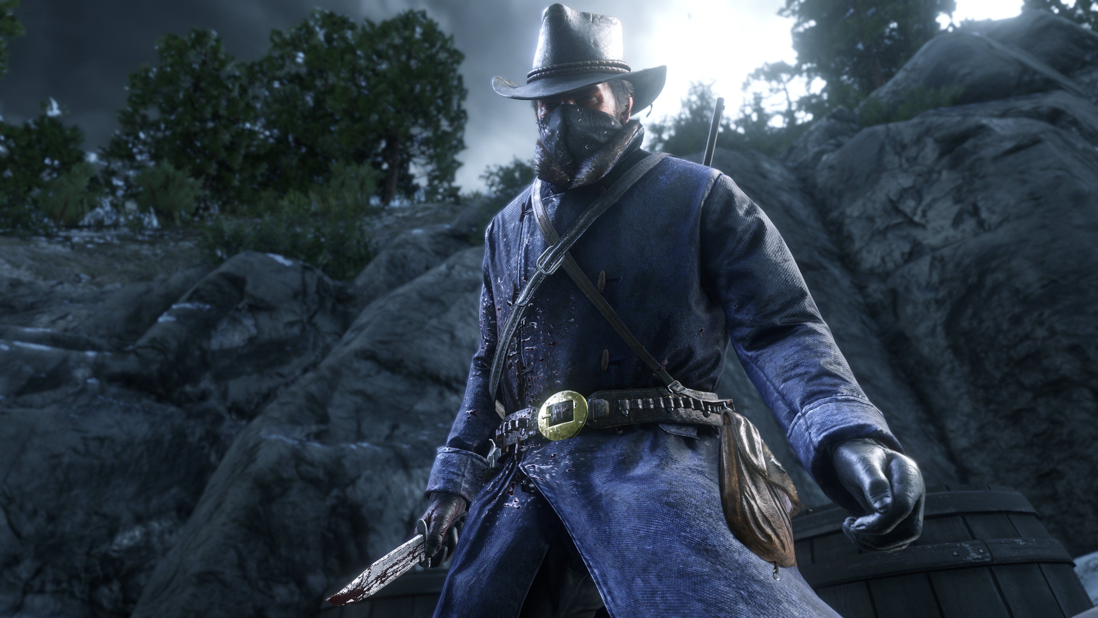 RDR2 13