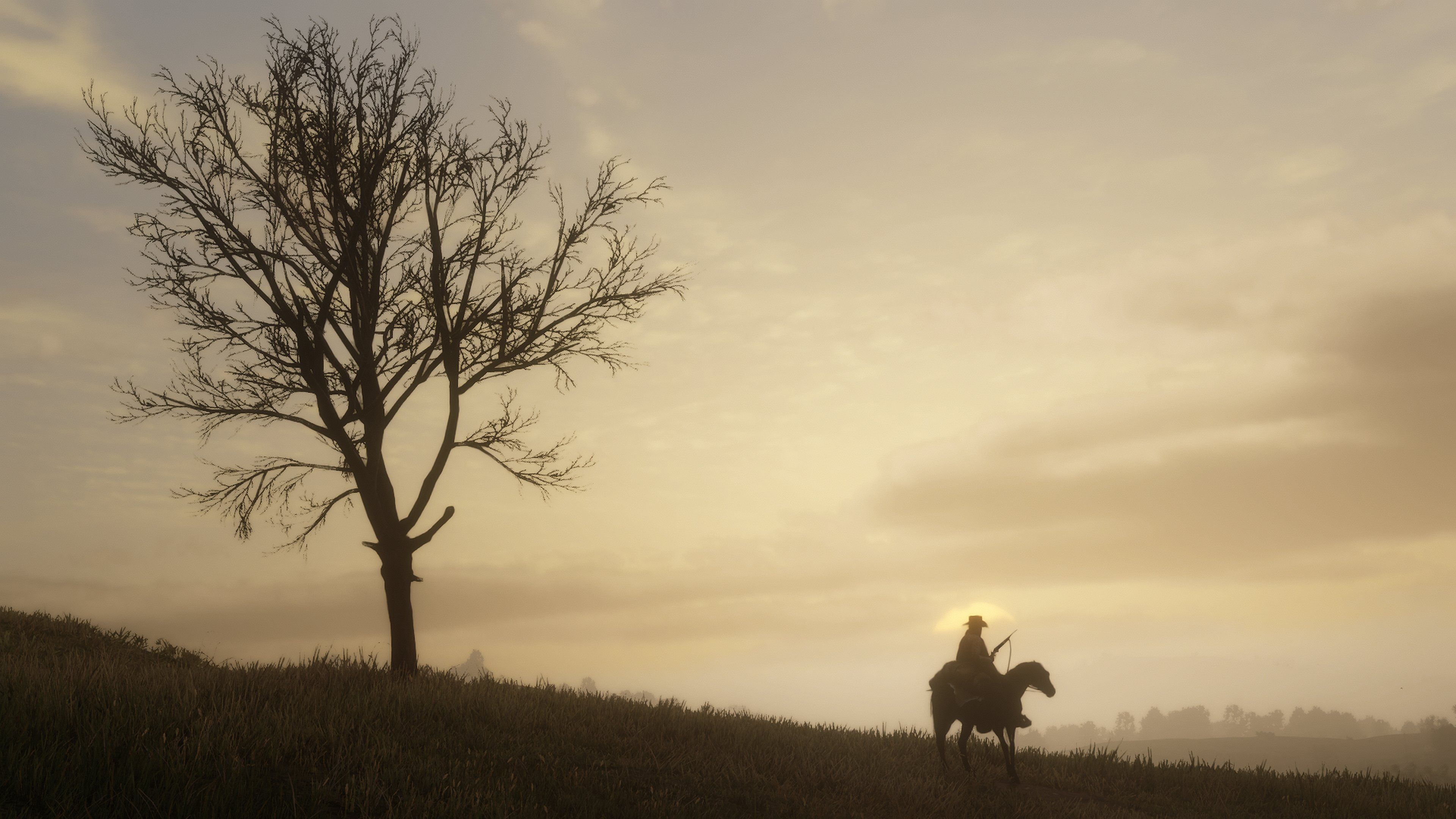 RDR2 15